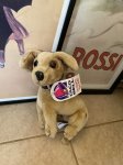 画像1: Taco Bell Chihuahua Plush Doll With Tag  タコベル　チワワ　ドール　ぬいぐるみ　タグ付き (1)