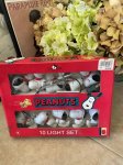 画像1: Peanuts Snoopy Ornament  10 Lights  with box (B) / ピーナッツ、スヌーピー　クリスマス　箱入りオーナメント　10ライト (1)