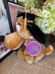 画像1: Disney Pluto Grad 83 Nite Plush Stuffed Doll With Tag  / ディズニー　プルート　1983年　卒業パーティーのぬいぐるみ (1)