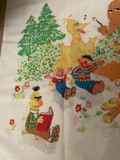 画像2: Sesame Street Camp  fabric pillow case  / セサミストリート　キャンプ　ピローケース