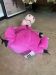 画像5: Hanna Barbera Flintstones  Dino Bean Doll With Tag 1998 (D)  / フリントストーンズ　ディノ　ビーンズドール (5)