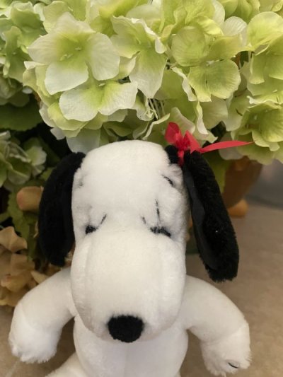 画像1: Snoopy Belle Red Ribbon Plush Stuffed Doll (D) / スヌーピー ベル、レッドリボン　ぬいぐるみ ドール