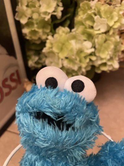 画像1: Sesame Street Cookie Monster Plush Doll (A)  / セサミストリート　クッキーモンスター　ぬいぐるみ