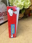 画像4: Peanuts Snoopy Ornament 10 Lights  with box (C) / ピーナッツ、スヌーピー　クリスマス　箱入りオーナメント　10ライト (4)